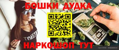 a pvp Новозыбков