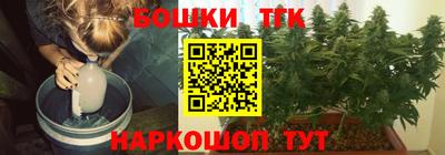 a pvp Новозыбков
