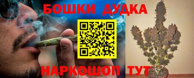СК Новодвинск