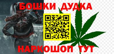 СК Новодвинск