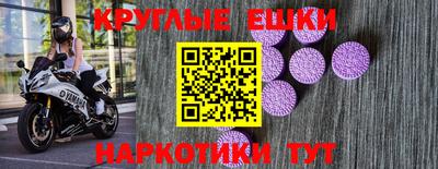 a pvp Новозыбков
