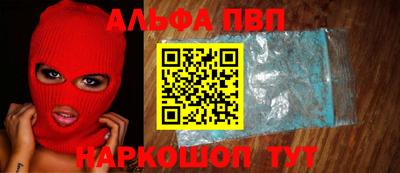 СК Новодвинск