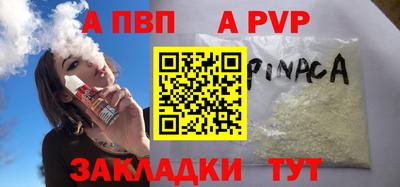 СК Новодвинск