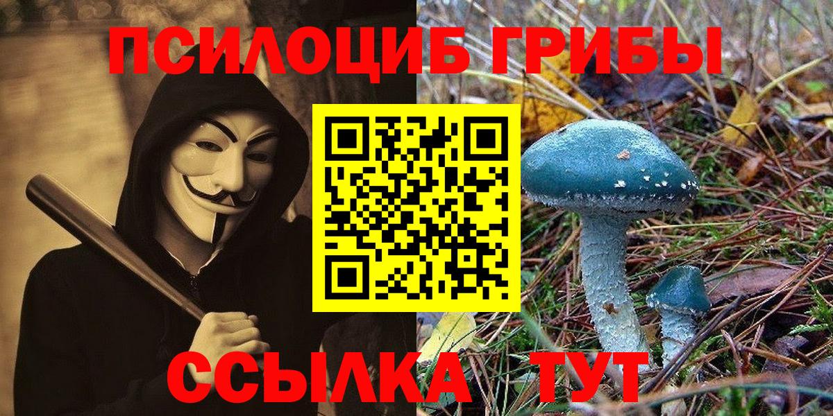 Оренбург  Галлюциногенные грибы ЛСД  Галлюциногенные грибы Magic Shrooms  Вход с VPN 